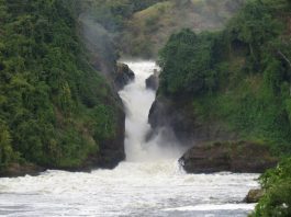 Proposed Dam Threatens Uganda’s Murchison Falls Ecosystem, Cultural Heritage