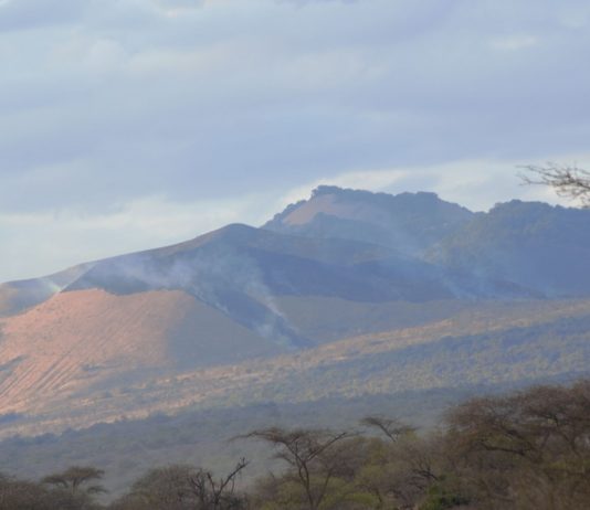 Fires Break Out in Tsavo Conservation Area