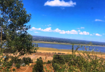 EAWLS Urges Prosecution of Satima Escarpment Forest Grabbers