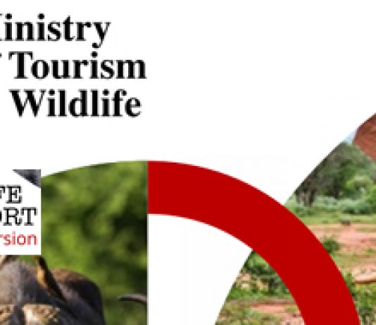 Kenya’s Wildlife Census Records 12 Per Cent Growth in Elephant Population