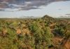 Meru National Park: The Elewana Experience