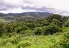 Mt. Kulal Named Kenya’s 70th Important Bird and Biodiversity Area