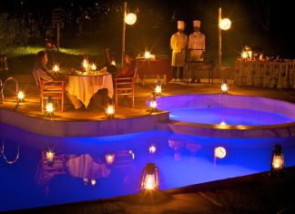 Return to the Wild: Rediscovering Ashnil Mara’s Timeless Allure