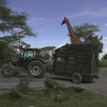 KWS Rescues Giraffes and Zebras Stranded by Rising Lake Naivasha